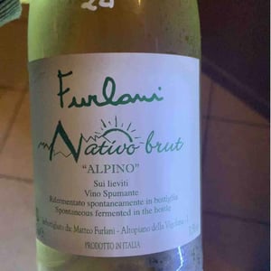 Cantina Furlani - Matteo Furlani - Alpino