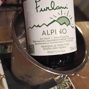 Alpino - Cantina Furlani - matteo-furlani