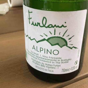 Cantina Furlani - Matteo Furlani - Alpino