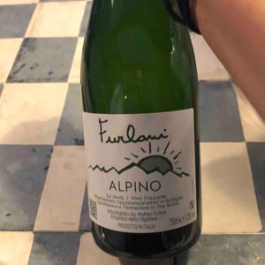 Cantina Furlani - Matteo Furlani - Alpino