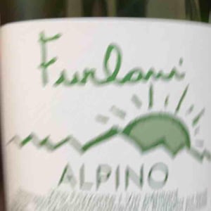 Alpino - Cantina Furlani - Matteo Furlani 