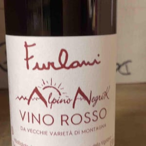 Alpino Negrik - Cantina Furlani - matteo-furlani