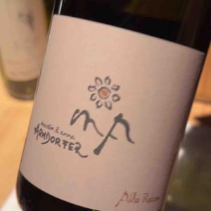 Alta Reben - Weingut Martin & Anna Arndorfer - Martin & Anna Arndorfer -2016