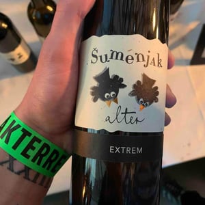 Alter Extreme - Sumenjak - srecko-sumenjak