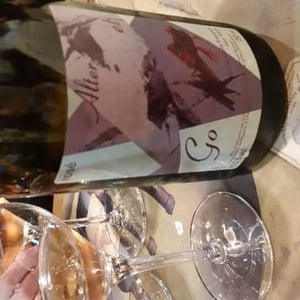 Alter & Go - Les Vignes de l'Angevin - jean-pierre-robinot