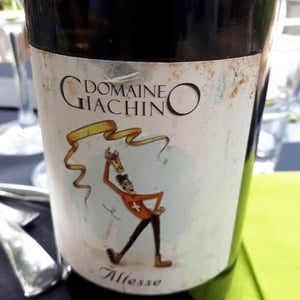 Altesse - Domaine Giachino - frederic-david-clement-giachino