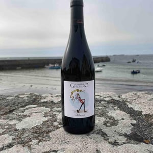 Altesse - Domaine Giachino - frederic-david-clement-giachino