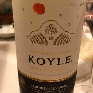 Alto Colchagua KOYLE - Vina Koyle - cristobal-undurraga