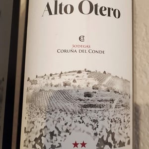 ALTO OTERO - Bodegas Coruña del Condé - angelica-amo-lopez-julien-ben-hamou-lopez -2014