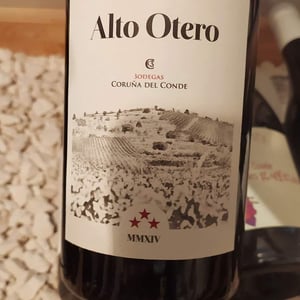 ALTO OTERO - Bodegas Coruña del Condé - Angelica Amo Lopez & Julien Ben Hamou Lopez -2014