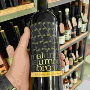 Alumbro Tinto - Microbodega Rodríguez Morán - Microbodega del Alumbro - maribel-abel-y-juan-jose-moreno