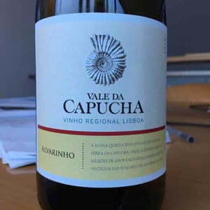 Vale da Capucha - Pedro Marques - Alvarinho