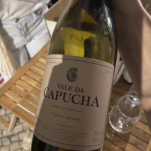 Cedro Alvarão - Vale da Capucha - pedro-marques -2017