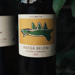 Alvarinho Curtimenta - Adega Belem Urban Winery - Adega Belem Urban Winery -2020