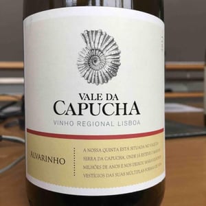 Alvarinho - Vale da Capucha - pedro-marques