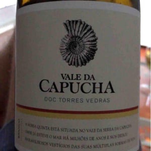 Vale da Capucha - Pedro Marques - Alvarinho