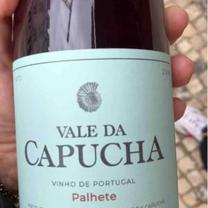 Alvarinho - Vale da Capucha - Pedro Marques 