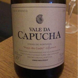 Alvarinho - Vale da Capucha - pedro-marques