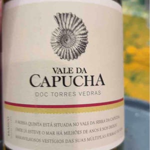 Alvarinho - Vale da Capucha - Pedro Marques 