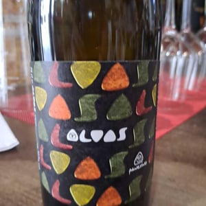 Alvas - Panevino - gianfranco-manca