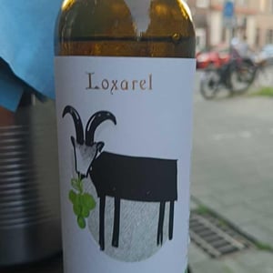Amaltea Negre - Loxarel - josep-mitjans