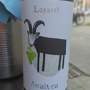 Amaltea Negre - Loxarel - josep-mitjans