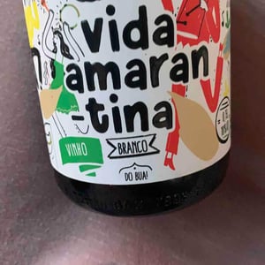 Vida Amarantina - Portugal Vila Nova De Gaia - quinta-de-vila-garcia