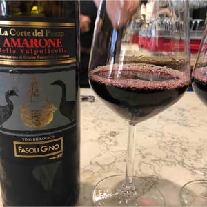 Amarone della Valpolicella - Terre di Gnirega - Francesco Aldrighetti 