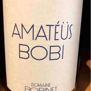 Domaine Calvez-Bobinet - Sébastien Bobinet & Emeline Calvez - Amatéüs Bobi