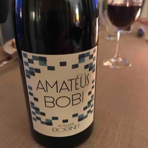 Domaine Calvez-Bobinet - Sébastien Bobinet & Emeline Calvez - Amatéüs Bobi