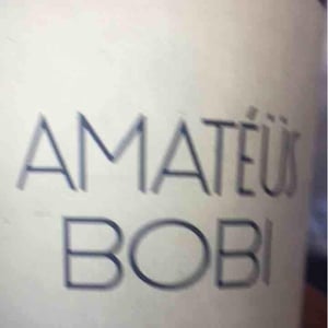 Domaine Calvez-Bobinet - Sébastien Bobinet & Emeline Calvez - Amatéüs Bobi