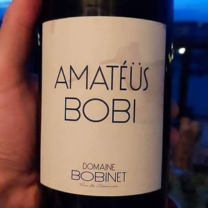 Domaine Calvez-Bobinet - Sébastien Bobinet & Emeline Calvez - Amatéüs Bobi