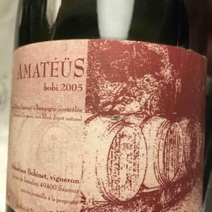 Domaine Calvez-Bobinet - Sébastien Bobinet & Emeline Calvez - Amatéüs Bobi