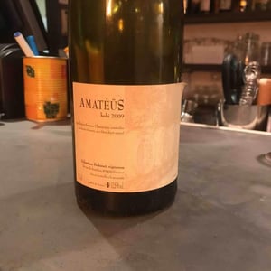 Domaine Calvez-Bobinet - Sébastien Bobinet & Emeline Calvez - Amatéüs Bobi