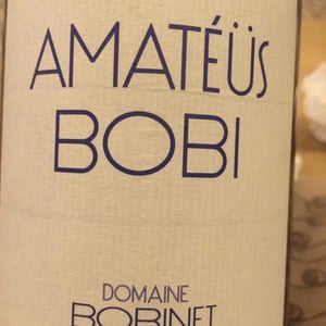Domaine Calvez-Bobinet - Sébastien Bobinet & Emeline Calvez - Amatéüs Bobi