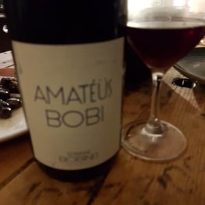 Domaine Calvez-Bobinet - Sébastien Bobinet & Emeline Calvez - Amatéüs Bobi