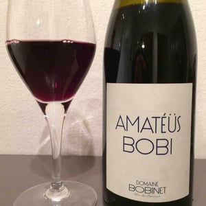 Domaine Calvez-Bobinet - Sébastien Bobinet & Emeline Calvez - Amatéüs Bobi