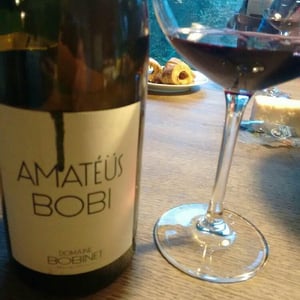 Domaine Calvez-Bobinet - Sébastien Bobinet & Emeline Calvez - Amatéüs Bobi