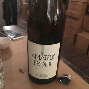 Domaine Calvez-Bobinet - Sébastien Bobinet & Emeline Calvez - Amatéüs Bobi