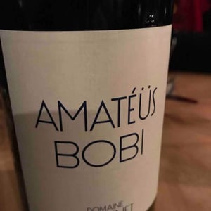 Domaine Calvez-Bobinet - Sébastien Bobinet & Emeline Calvez - Amatéüs Bobi