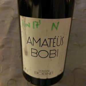 Domaine Calvez-Bobinet - Sébastien Bobinet & Emeline Calvez - Amatéüs Bobi