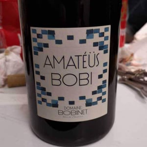 Domaine Calvez-Bobinet - Sébastien Bobinet & Emeline Calvez - Amatéüs Bobi