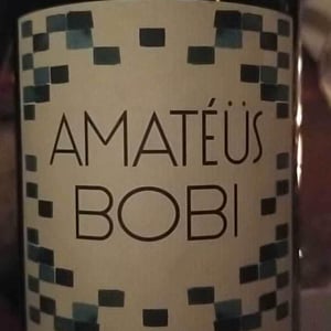 Domaine Calvez-Bobinet - Sébastien Bobinet & Emeline Calvez - Amatéüs Bobi