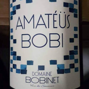 Domaine Calvez-Bobinet - Sébastien Bobinet & Emeline Calvez - Amatéüs Bobi