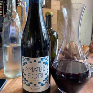 Domaine Calvez-Bobinet - Sébastien Bobinet & Emeline Calvez - Amatéüs Bobi