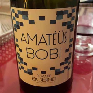 Domaine Calvez-Bobinet - Sébastien Bobinet & Emeline Calvez - Amatéüs Bobi