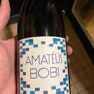 Domaine Calvez-Bobinet - Sébastien Bobinet & Emeline Calvez - Amatéüs Bobi