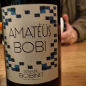 Amatéüs Bobi - Domaine Calvez-Bobinet - sebastien-bobinet-emeline-calvez
