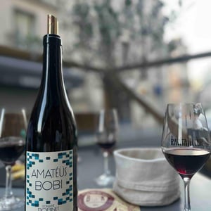 Amatéüs Bobi - Domaine Calvez-Bobinet - sebastien-bobinet-emeline-calvez