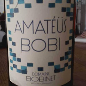 Domaine Calvez-Bobinet - Sébastien Bobinet & Emeline Calvez - Amatéüs Bobi